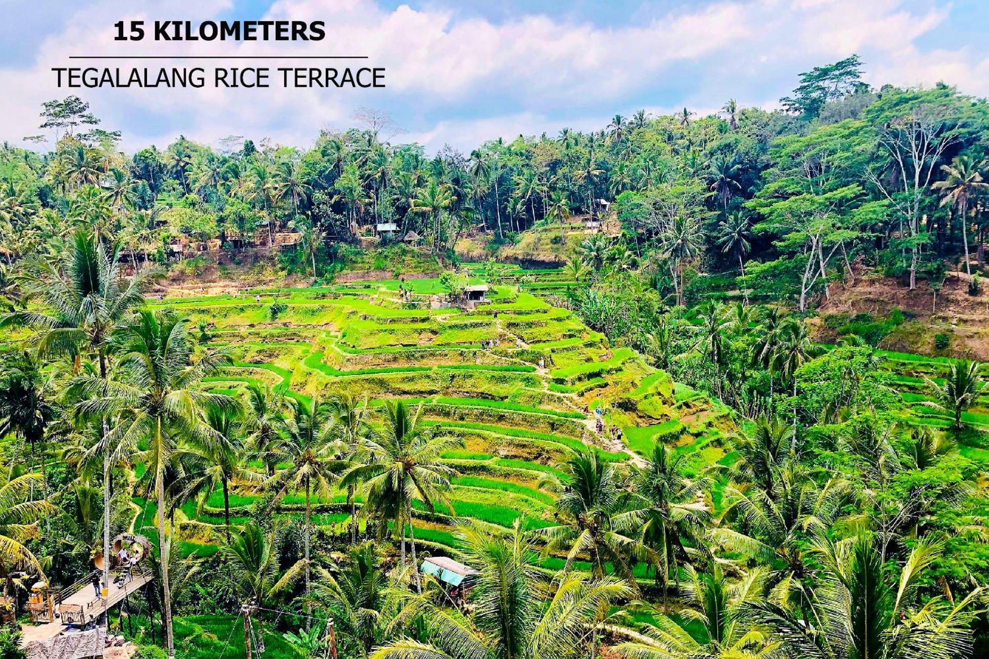 Green Flow Ubud Villas III Exteriör bild