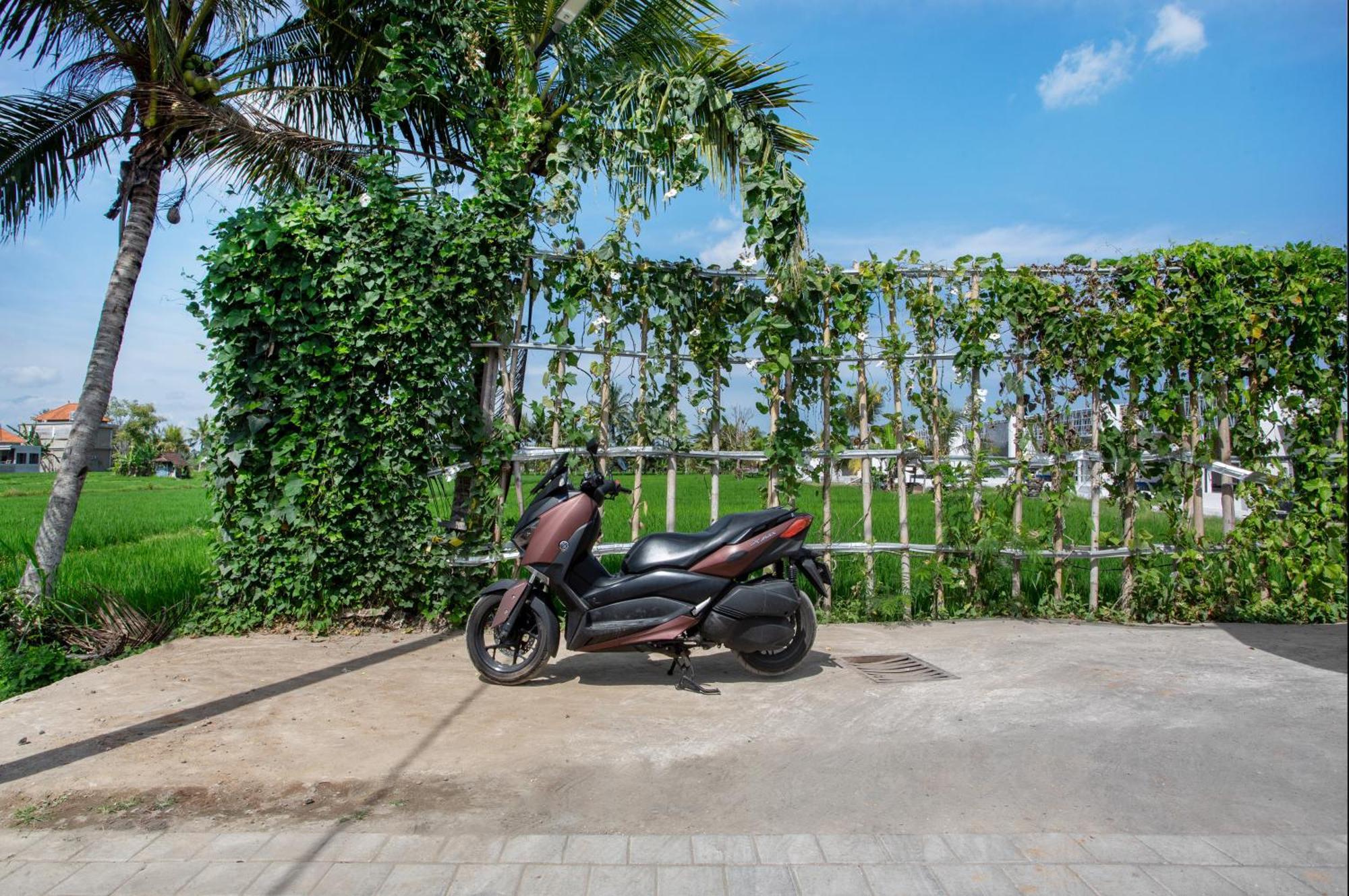 Green Flow Ubud Villas III Rum bild
